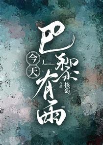 今天巴黎有雨po