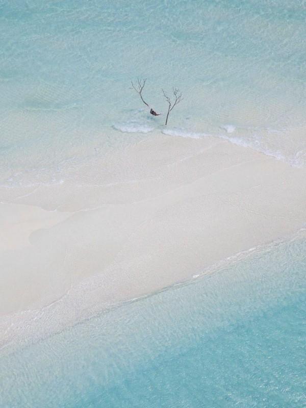 学生口出狂言后，我不再教他们了